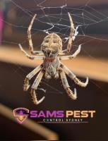 SAMS Spider Control Sydney image 10